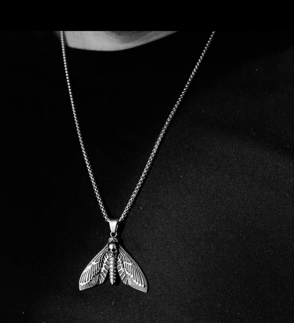 Head Moth
